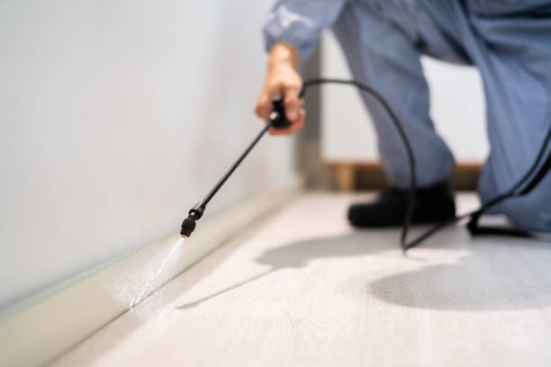 Bed Bug Pre-Treatment Preparation Assessment in Lovington