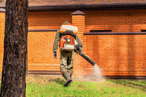 Bed Bug Clearance Verification and Documentation in Lovington